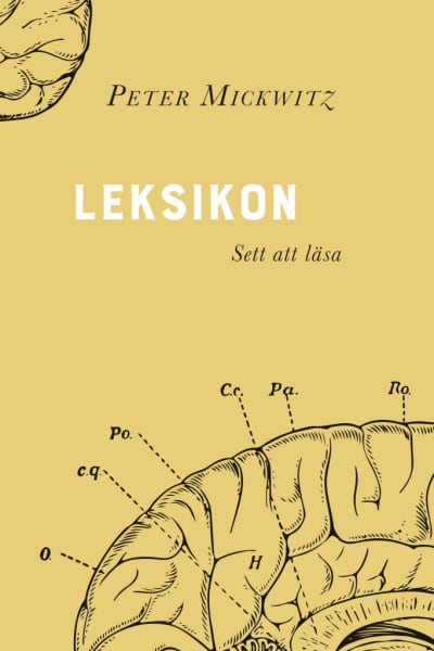 Pärmen till Peter Mickwitz "Leksikon - Sett att läsa".