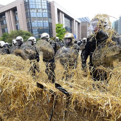 Bönderna demonstrerade i Bryssel - kravallpolisen tog till vattenkanoner