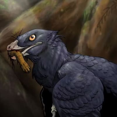 Piirroskuva lintua muistuttavasta dinosauruksesta, jonka suussa on eläimen jalka. 