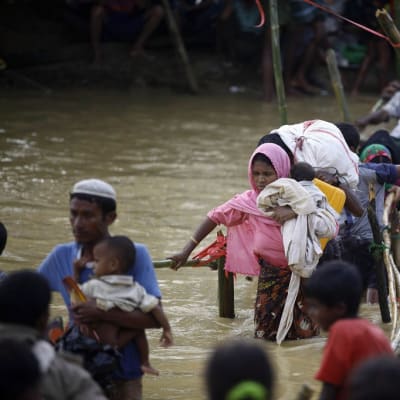Rohingya-pakolaiset ylittävät pientä kanavaa bambusta tehtyä siltaa pitkin. Vesi on ihmisiä vyötäisille asti.