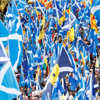 Kuvassa paljon Skotlannin lippuja mielenosoituksessa. 