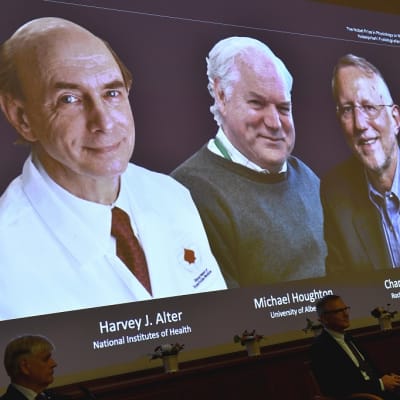 Nobel-voittajien valokuvat valkokankalla.