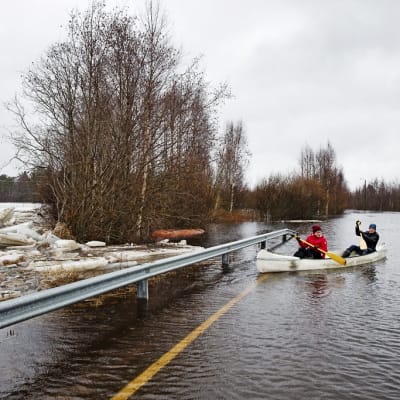 Kaksi henkilöä melovat kanootilla veden vallassa olevalla tiellä.
