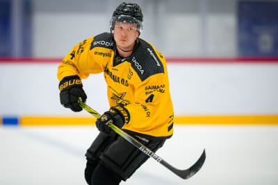 Aleksi Anttalainen spelar ishockey.