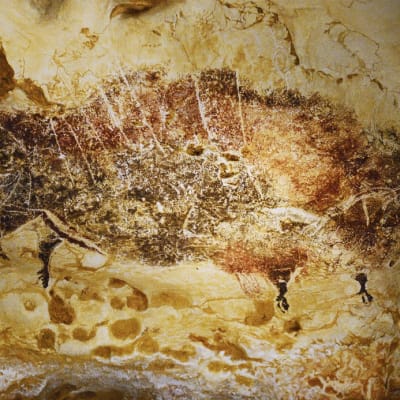 Ruskealla maavärillä maalattu biisoni kiviseinässä.