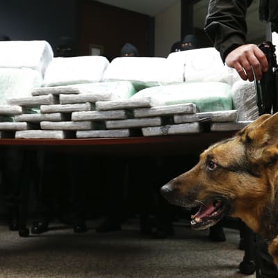 Takavarikoituja huumeita Tuckerissa, Georgian osavaltiossa Yhdysvalloissa 10 tammikuuta 2014.