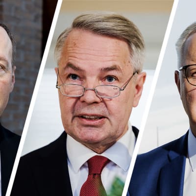 Bildcollage med Jussi Halla-aho, Pekka Haavisto och Olli Rehn.