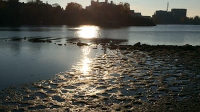 Lågt havsvattenstånd i Helsingfors hösten 2016.