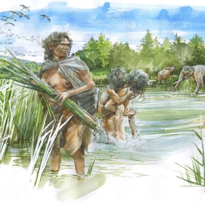 Vesivärimaalaus muinaisesta järvestä, jonka rantavedessä nainen kerää kaisloja ja kaksi lasta leikkii. Taistalla norsuja juomassa ja sarvikono nousemassa vedestä. 