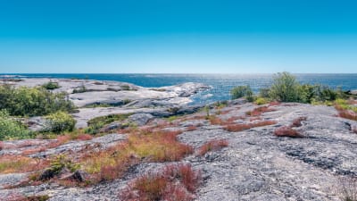 klippor och hav