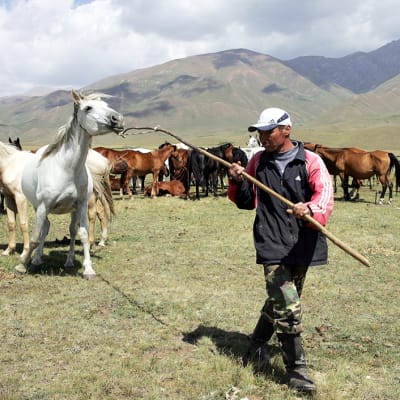 Kirgisiassa paimentolaisperinteet ovat vahvoja ja hevoset arvostettuja.