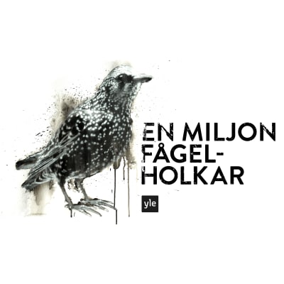 Kampanjen En miljon fågelholkar