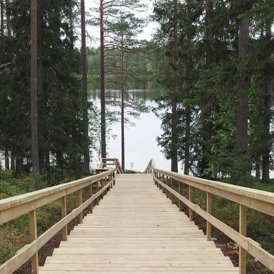 Suomussalmen kuntoportaat syksyllä 2022