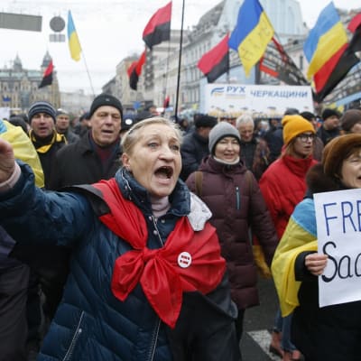 Joukko mielenosoittajia kulkee Kiovan kadulla. Joukko kantaa Ukrainan lippuja ja Ukrainan toisen maailmansodan aikaisten nationalistitaistelijoiden punamustia lippuja. Etualalla nainen huutaa ja pui nyrkkiä. Kuvan oikeassa reunassa kävelee nainen, jonka kyltissä lukee "Freedom Saakashvili".