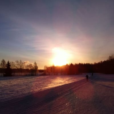 Eeva Sunnari, Taija Romppanen