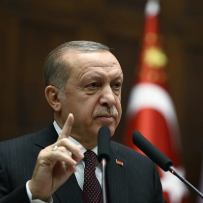 Erdoğan puhuu puhuu mikrofoneihin sormi opettavaisesti pystyssä. Hänellä on harmaa puku, punainen pilkullinen kravatti. Taustalla näkyy lippuja.