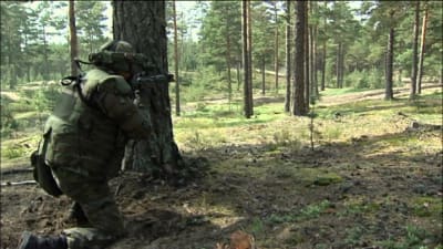 Nordic Battle Group tränar