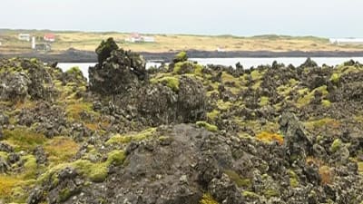 Vulkanlandskap i Island