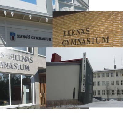 De svenskspråkiga gymnasierna i Hangö, Ekenäs, Karis och Virkby