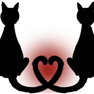 Två katter med svansarna formade som ett hjärta
