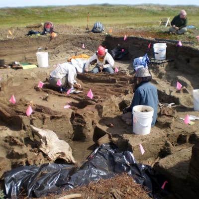 Arkeologeja työvälineineen tutkimassa puolen metrin syvyistä kaivuualuetta