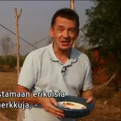 Uutisvideot: Heinäsirkkojen pyynti tuo rahaa Kambodžassa
