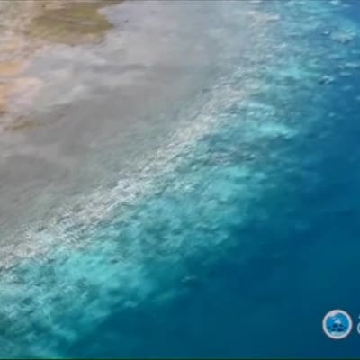 Uutisvideot: Australian Ison valliriutan korallit vaalenevat