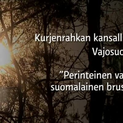 Yle Uutiset Lounais-Suomi: Näin syntyy nopea lohiherkku metsän siimeksessä