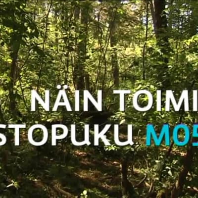 Uutisvideot: Löydätkö varusmiehiä tästä metsästä?