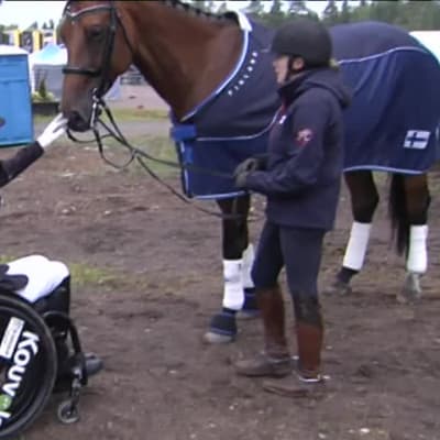 Urheilujuttuja: Suomalaiset mitalien metsästyksessä Rion pararatsastuksessa