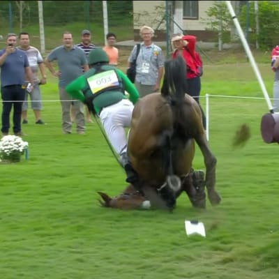 Rion olympialaiset: Huh mikä läheltä-piti-tilanne! Kenttäratsastuksessa hevonen teki kuperkeikan