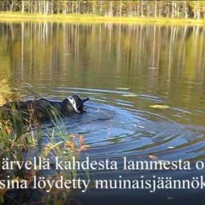 Yle Uutiset Itä-Suomi: Tohmajärven muinaisjäännökset