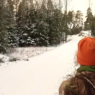 Yle Uutiset Lounais-Suomi: Jousimetsästys on pienestä kiinni – kävimme kaurisjahdissa Maskussa