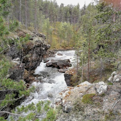 Ravadasköngäs Lemmenjoen kansallispuistossa.