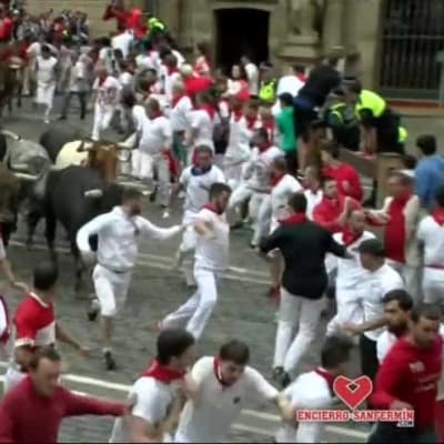 Uutisvideot: Härät juoksivat taas Pamplonan kaduilla, useita loukkaantunut