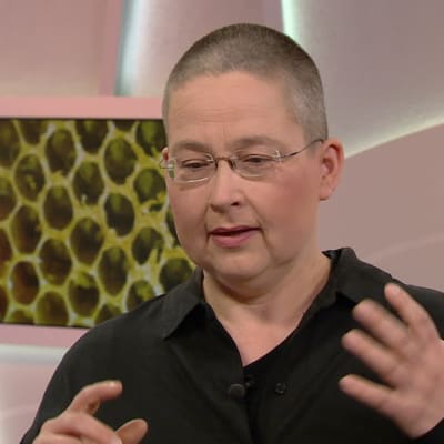 Huilisti, joka hurahti mehiläisiin