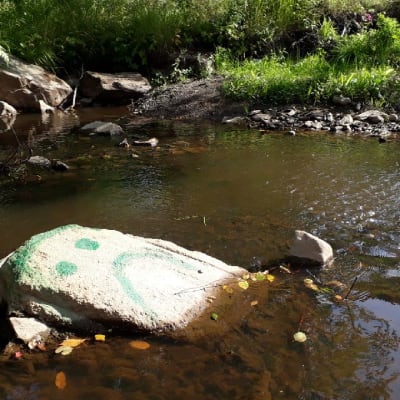 Matalalla olevan Pajuluoman pohjasta paljastuneeseen kiveen on maalattu surullinen hymiö. Kuva 25.8.2018