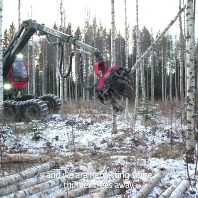 The making of the Finnish First Lady's tree-based eco dress