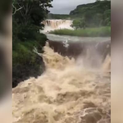 Rankkasateet saivat joet tulvimaan Havaijlla
