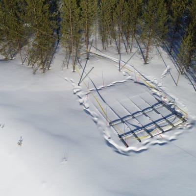 Kesäkuussa Paltamontie varteen noussut pessimistien mainoskyltti on saanut tarpeekseen ja kaatunut.