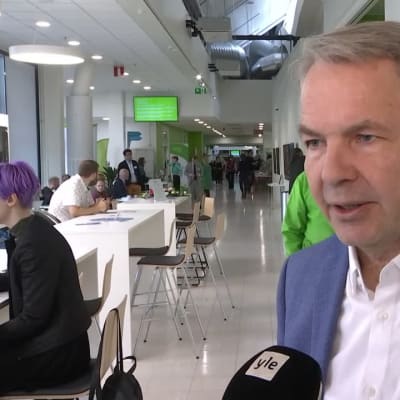 pekka haavisto
