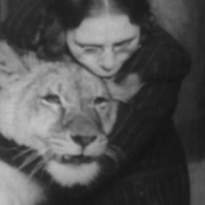 Ennenjulkaisematonta kuvaa unissasaarnaaja Maria Åkerblomista ja leijonista