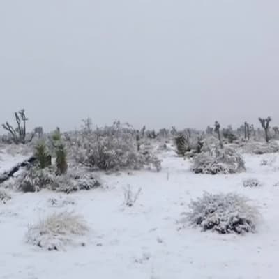 Joulunpyhät toivat lumipeitteen Etelä-Kalifornian kuiviin autiomaihin