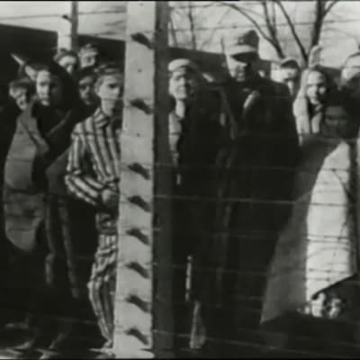 Auschwitz 75 vuotta sitten ja nyt