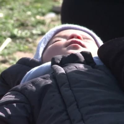 Migranter i Turkiet