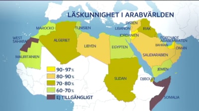 karta över läskunnigheten i arabvärlden