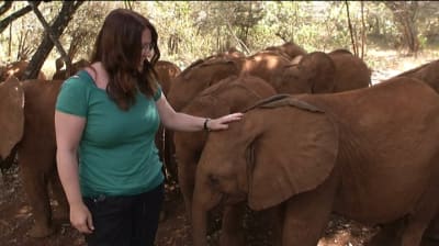 Lotte Krank-van de Burgt på Sheldricks hem för föräldralösa elefanter