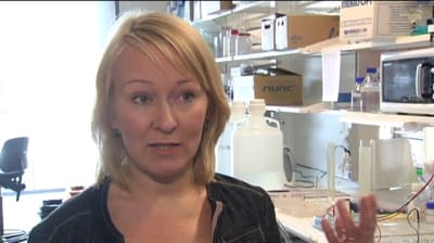 Anu Wartiovaara, professor i klinisk molekylärmedicin vid Helsingfors universitet.