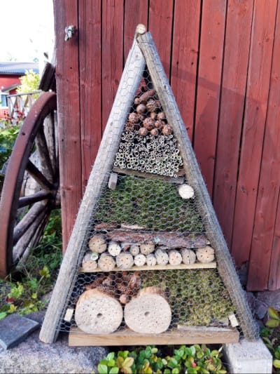 Ett insektsbo.
