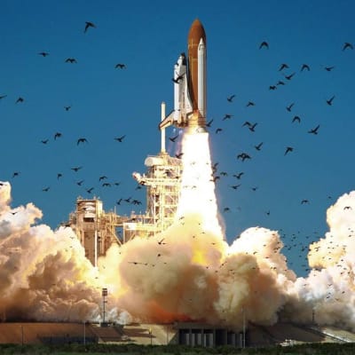 Challenger-sukkula irtaantuu maasta kantoraketin kyydissä. Peästä tupruaa sankkaa savua. Taivaalla parvelelee lintuja.  